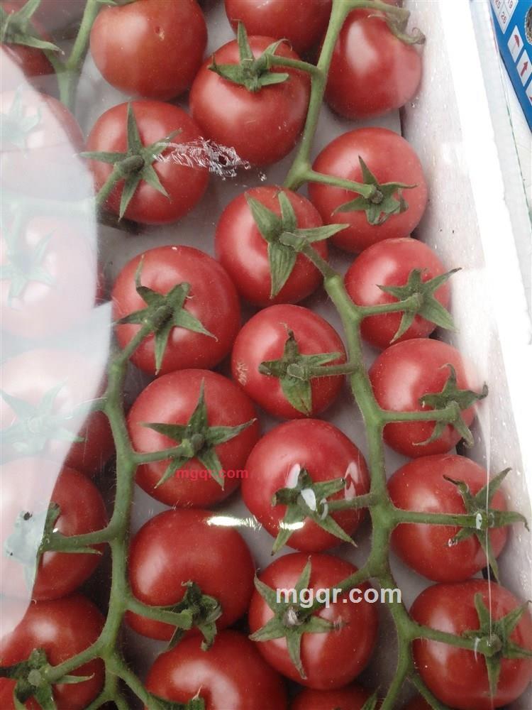 我不是美男的第1张照片