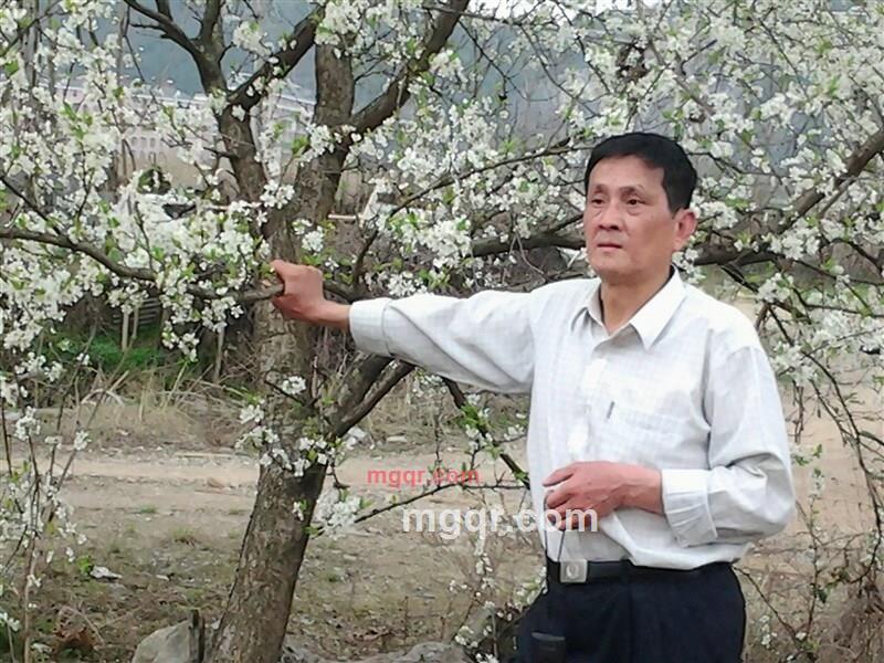 平子奢望的第2张照片