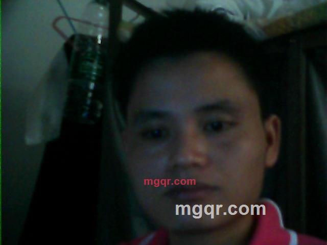 我为爱情的第1张照片