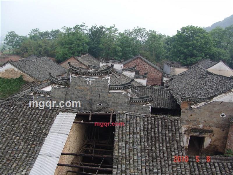 所适皆安的第4张照片