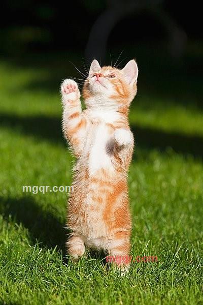 hanbing1314的第2张照片