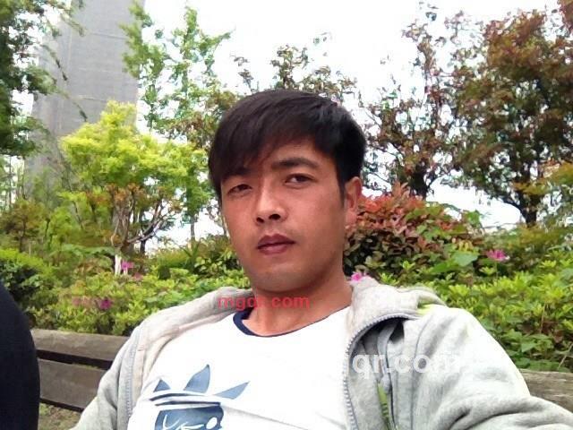 fengqyy的第1张照片