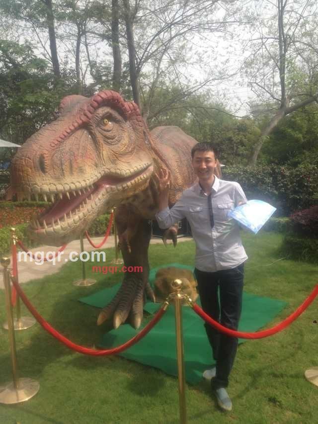 江哥112的第2张照片