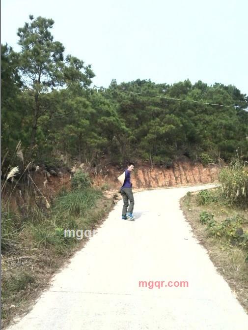 q315893的第6张照片