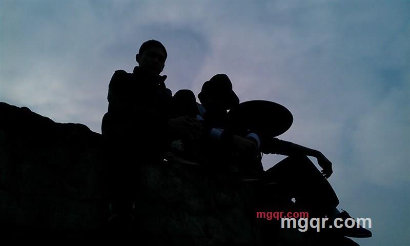 q315893的第1张照片