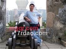 白杨树边的第3张照片