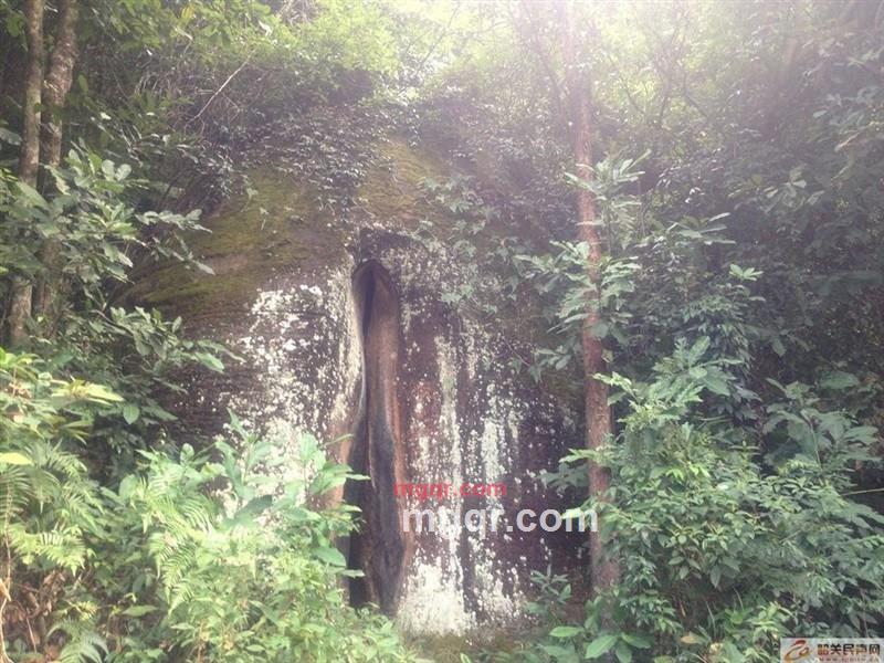 不是木子的第1张照片