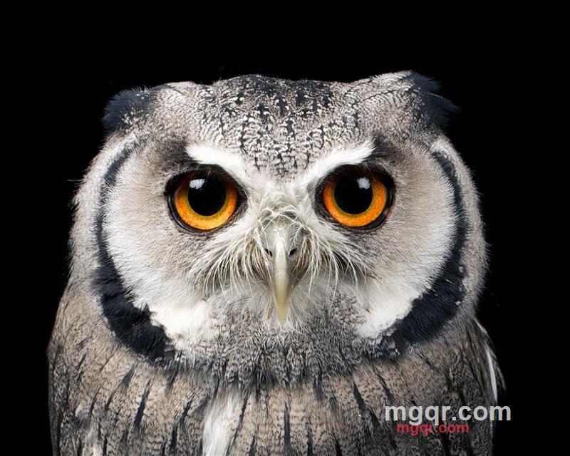 Merrill的第1张照片