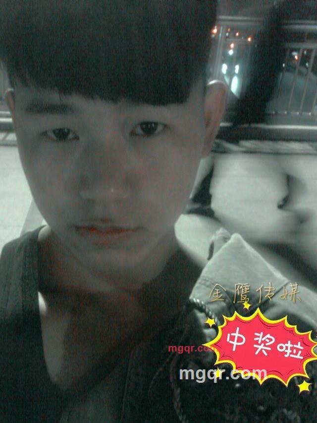 金鹰娱乐传媒的第2张照片