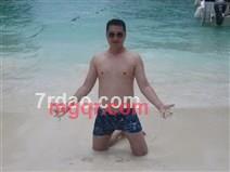 白杨树边的第2张照片