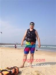 白杨树边的第1张照片