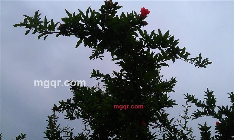 一统姜山的第1张照片