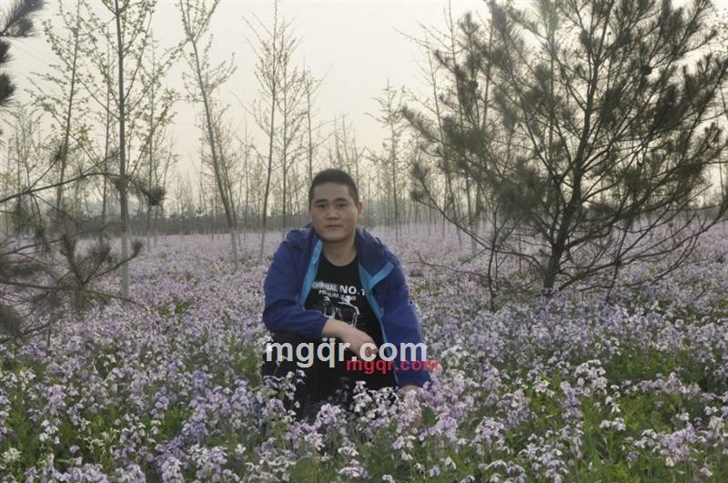 你的临时男友的第1张照片