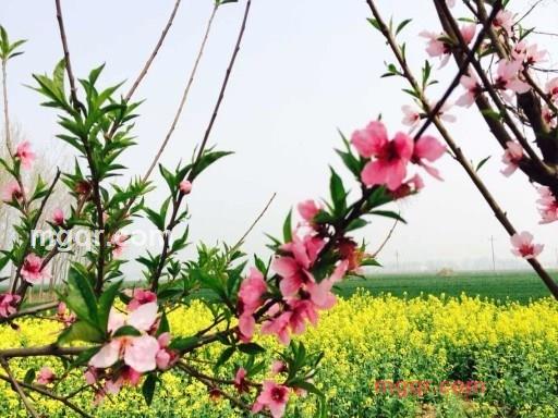 萧瑟秋风今又是的第2张照片