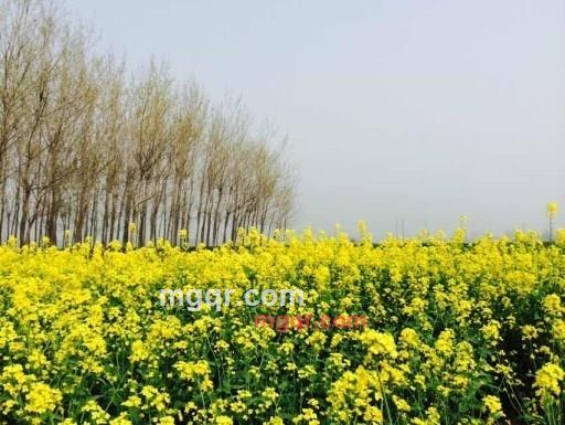 萧瑟秋风今又是的第1张照片