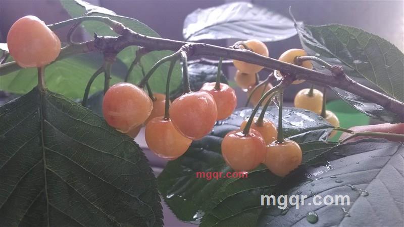  因你而变的第1张照片