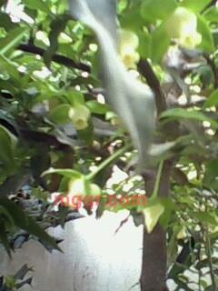 7民的第1张照片