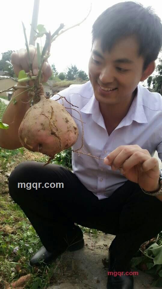 亿酒吴流肆流流而而酒的第6张照片