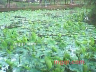 勿忘我啦的第5张照片