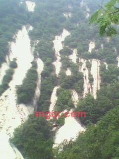 勿忘我啦的第4张照片