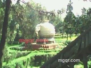 勿忘我啦的第3张照片