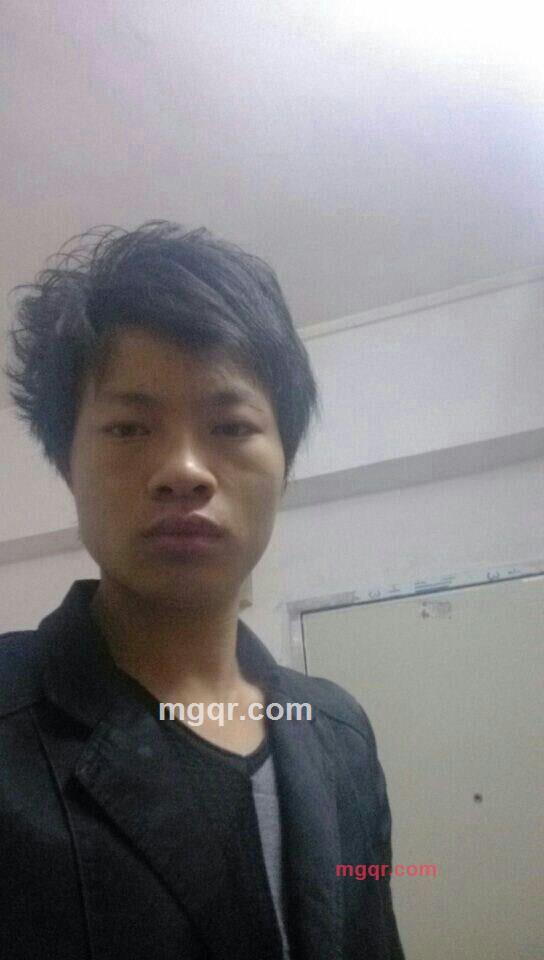 纸上之树的第1张照片