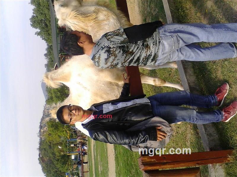 不一样的夜11的第1张照片