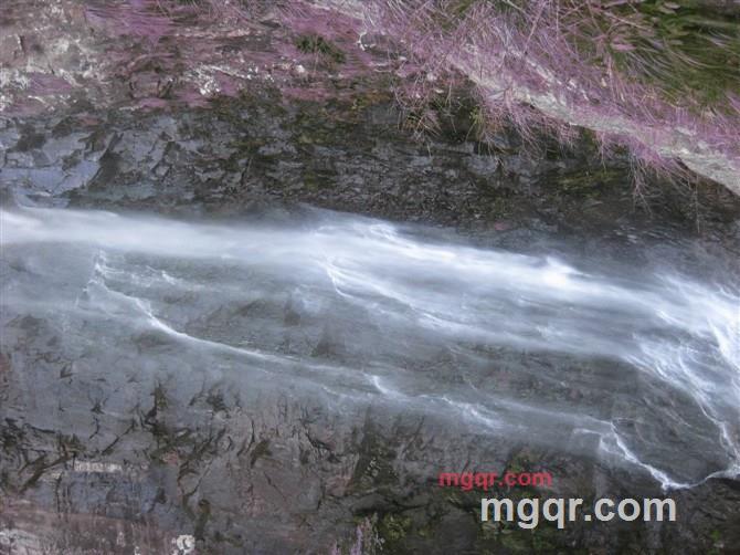 居缘孤的第3张照片