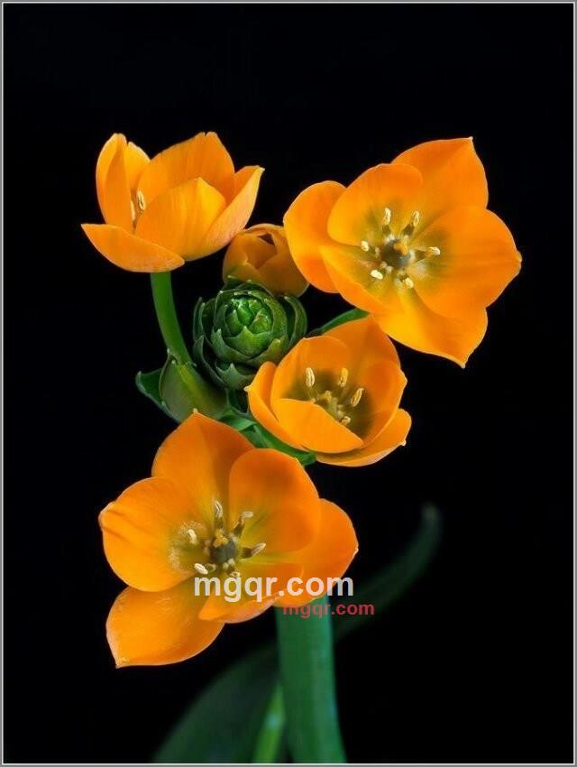 居缘孤的第4张照片