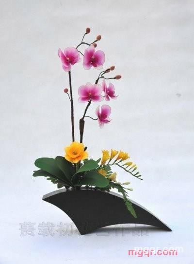 居缘孤的第5张照片