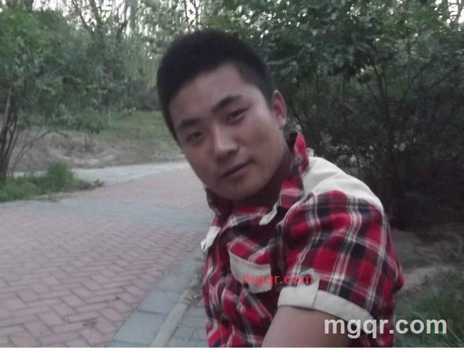 西伯利亚狼的第1张照片