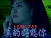 西伯利亚狼的第2张照片