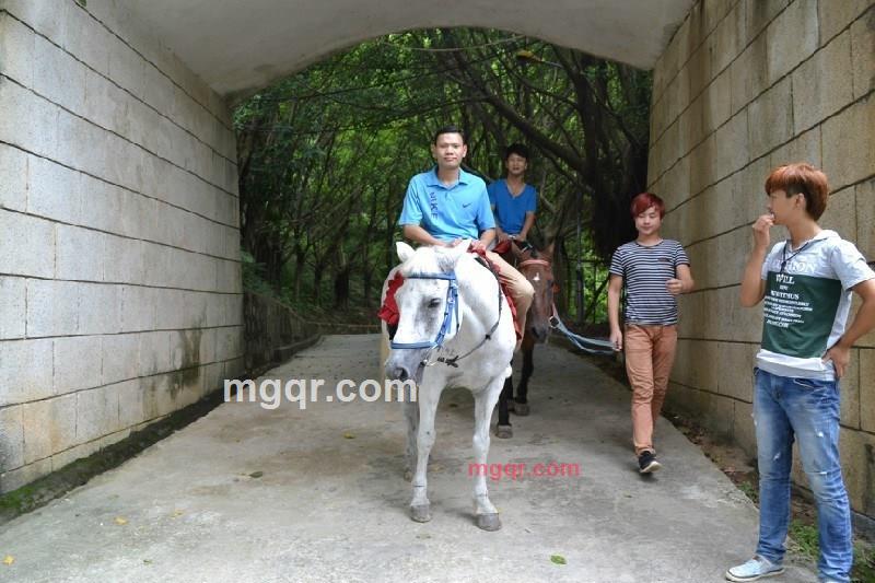 呵护爱情，呵护你的第5张照片