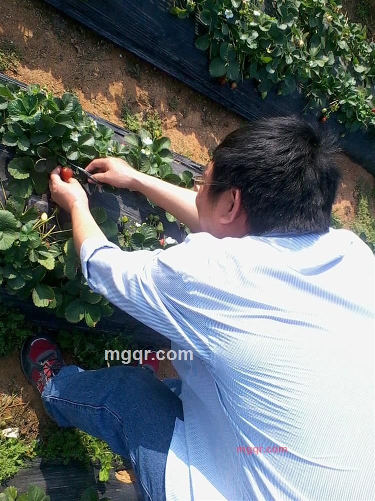 寻找的爱的第3张照片