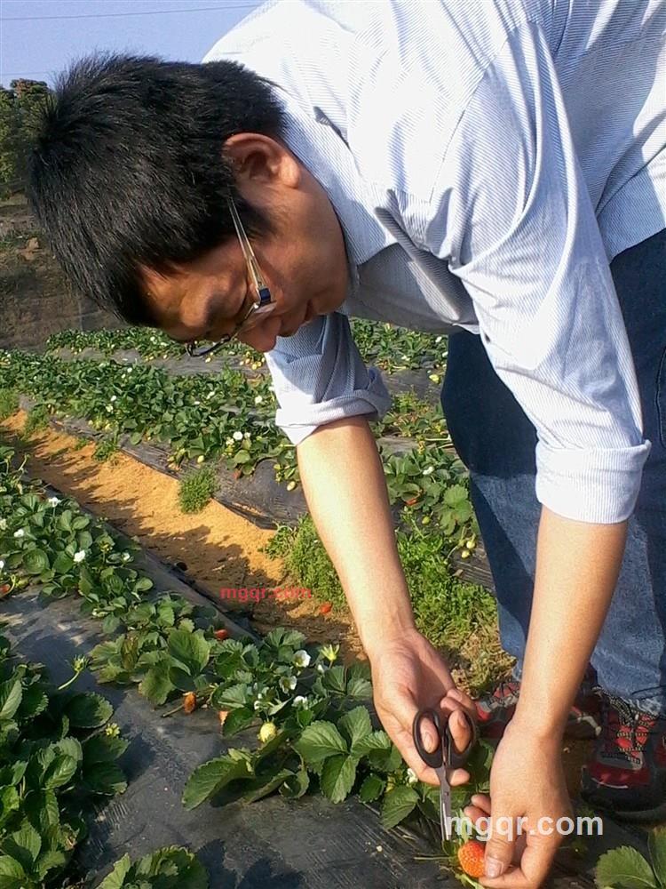 寻找的爱的第2张照片