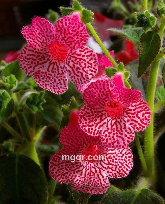 别太晚回家的第1张照片