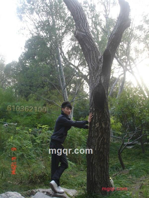 六要零三六二要零灵的第2张照片