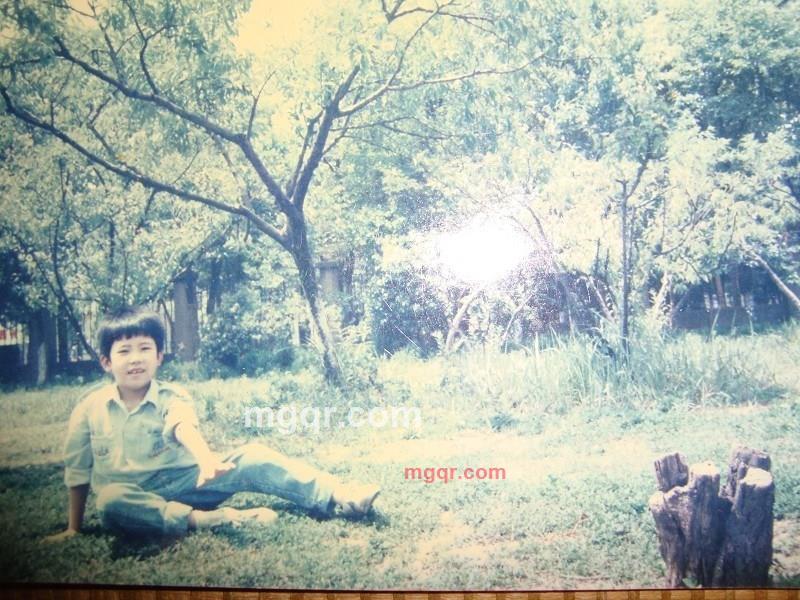 瓦尔登湖的第1张照片