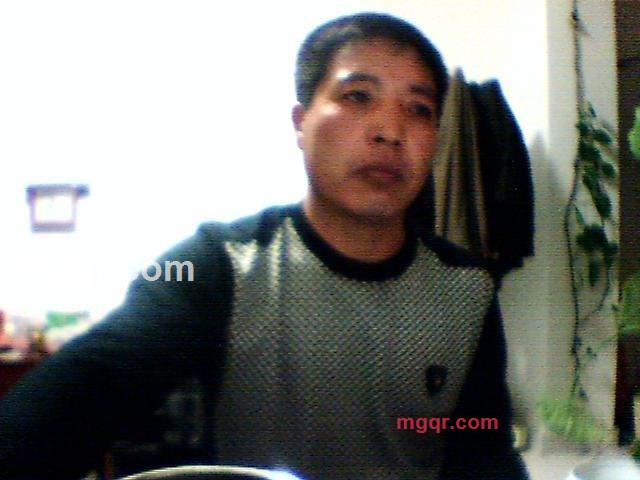 借洞暖鸟的第1张照片