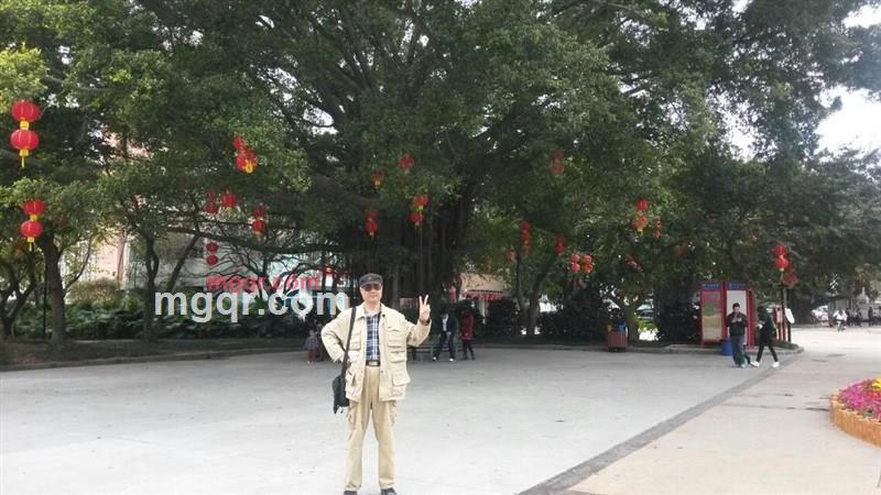 ajieke的第95张照片