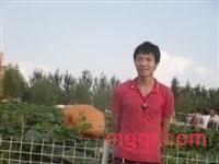 男人本色5的第2张照片