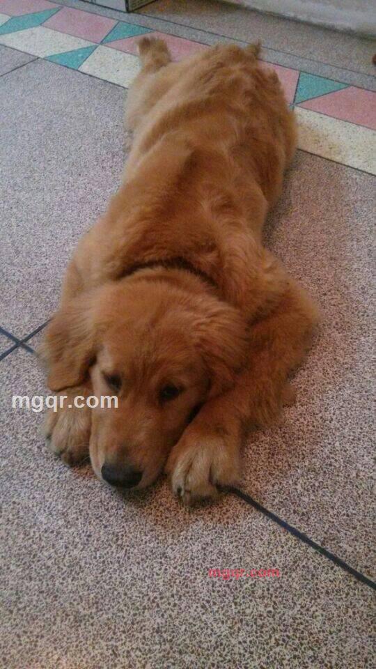 你一辈子疼爱的女人的第4张照片