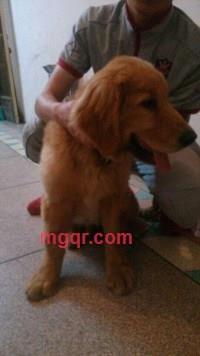 你一辈子疼爱的女人的第3张照片