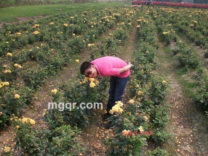 命由己造的第3张照片