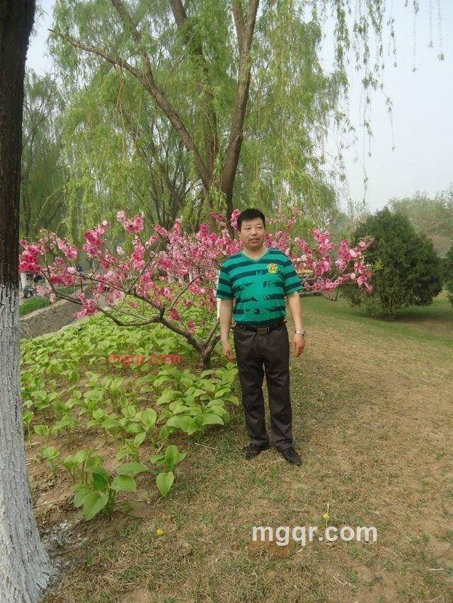 踏雪觅踪的第1张照片