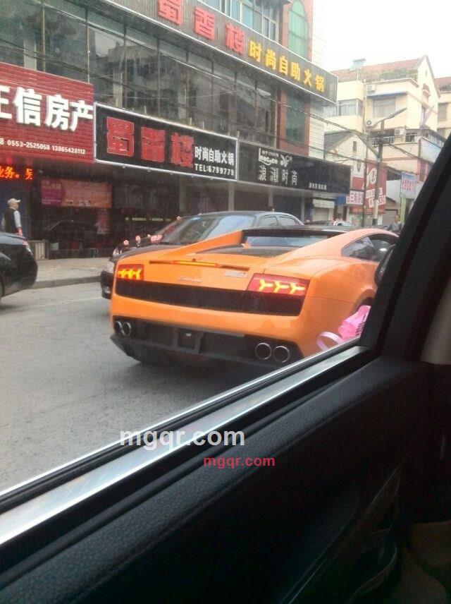 C神鞭的第2张照片