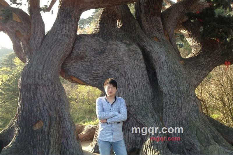 ¨. メ 楓的第1张照片