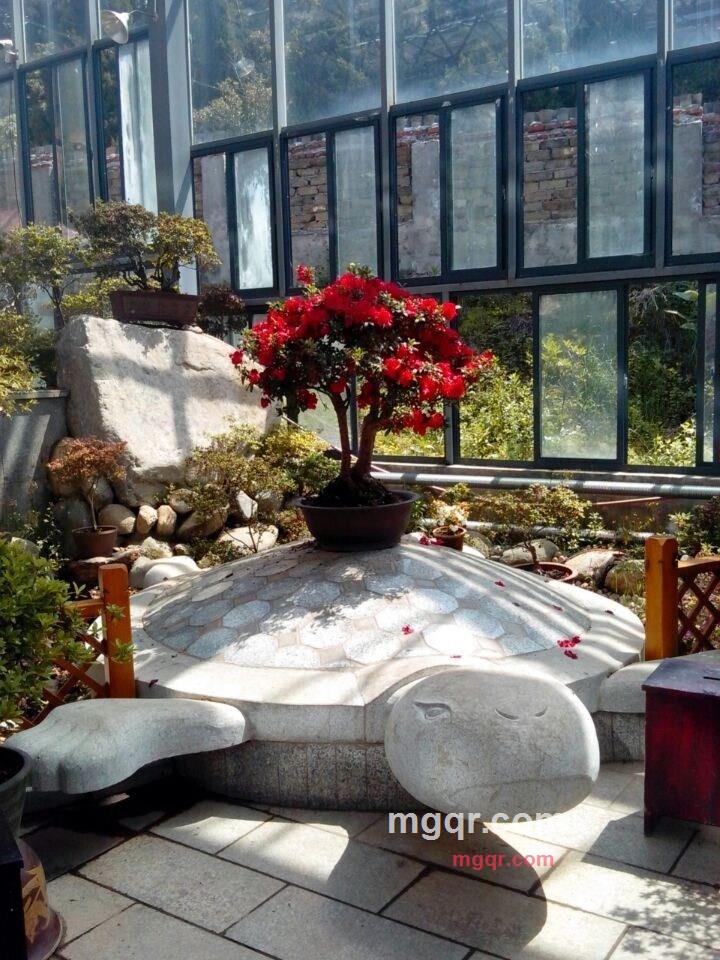 shenowen的第8张照片