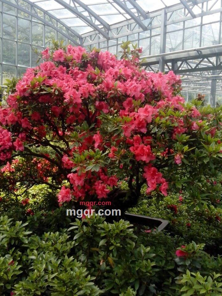 shenowen的第3张照片