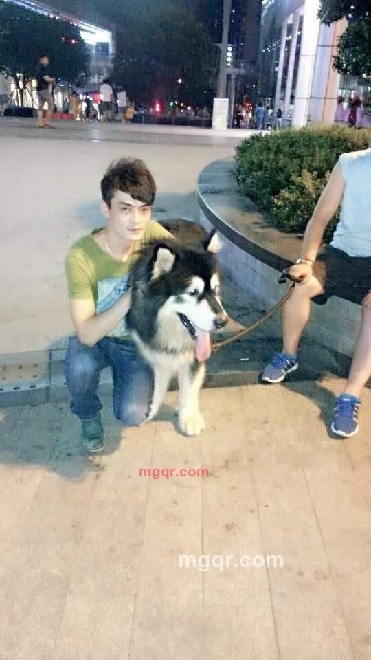 邂逅你的一切的第2张照片